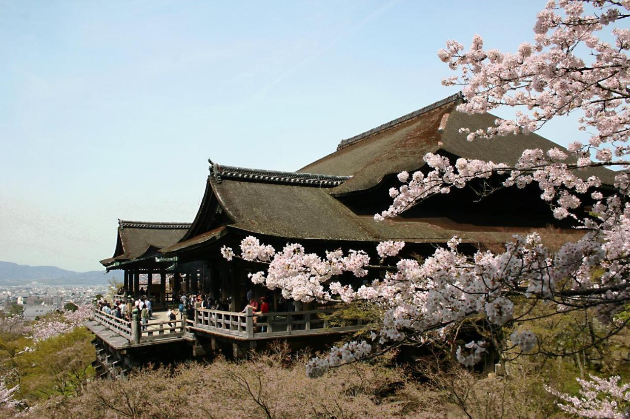 Rejoice Nijojo Minami Kyoto